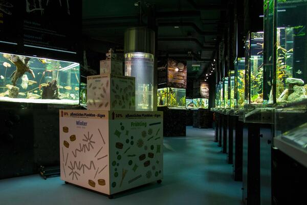Unterwasserreich Aquarium c Sonja Eder