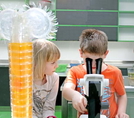 Unterwasserreich Kinder Mikroskopieren c Sonja Eder