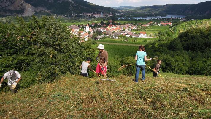 Naturschutz Wachau