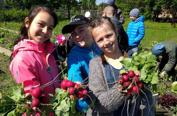 Cityfarm Wien Ernte Kinder