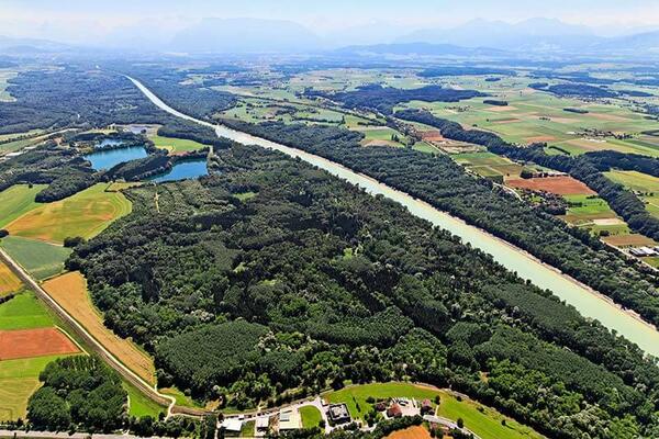 Renaturierung Salzach Auen