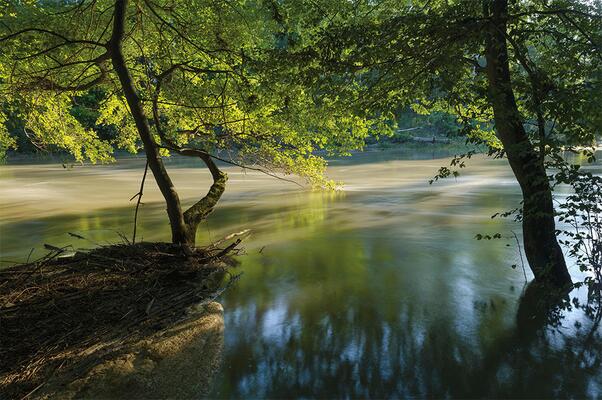 Donauauen
