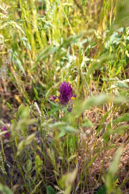 Literatur & Wandern