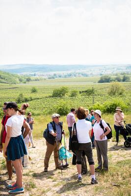 Literatur und Wandern in Retz