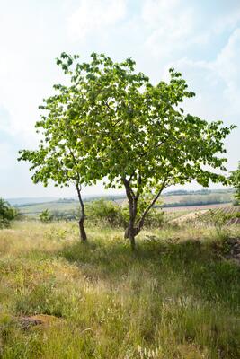 Literatur & Wandern
