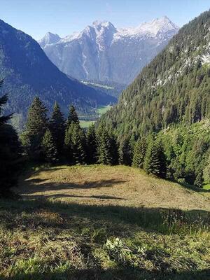 Almwiese maehen
