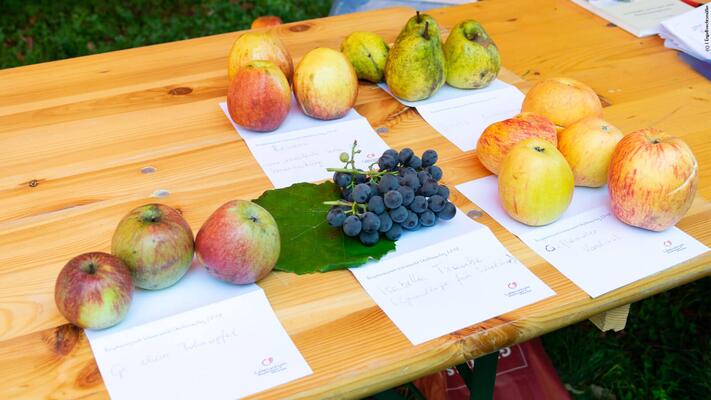 Obstsorten