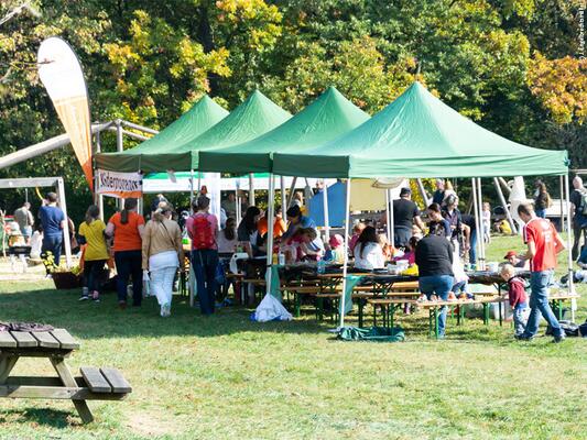 Obstbaumtag im Lainzer Tiergarten
