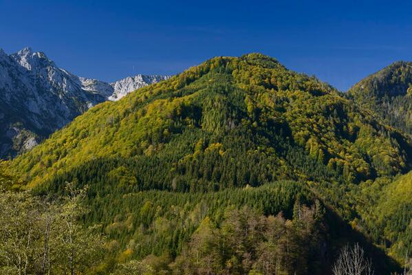 Nationalpark Kalkalpen