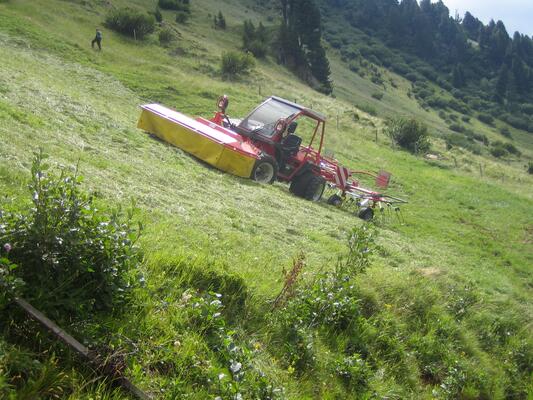 Mahd von steilen Flächen