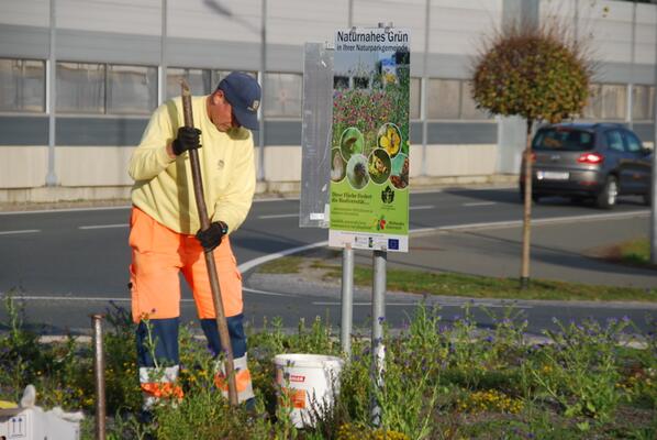 Bauhof-Mitarbeiter pflegt das blühende Straßenbegleit-Grün