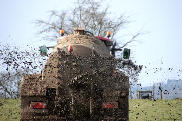 Gülle als Dünger in der Landwirtschaft