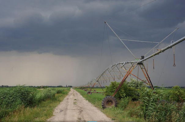 Seewinkel zwischen Landwirtschaft und Naturschutz