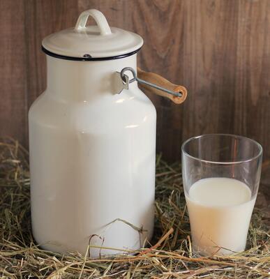 Milchkanne mit einem Glas Milch 