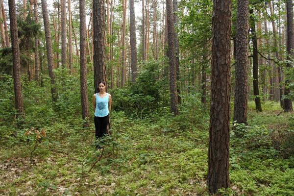 Meditation im Wald