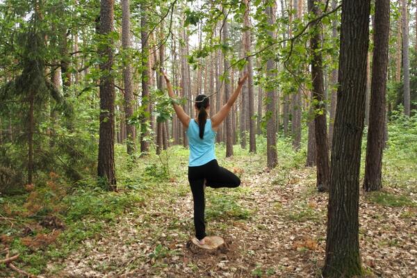 Yoga im Wald