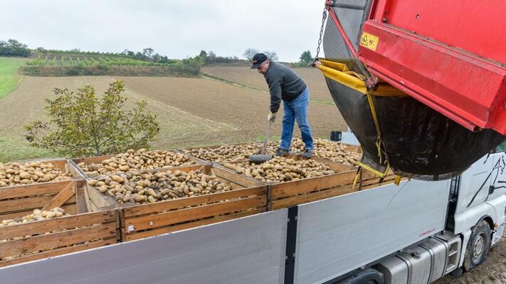 c REWE International AG