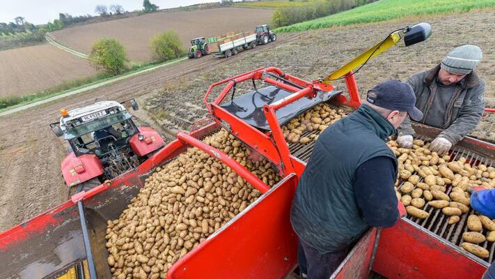 c REWE International AG