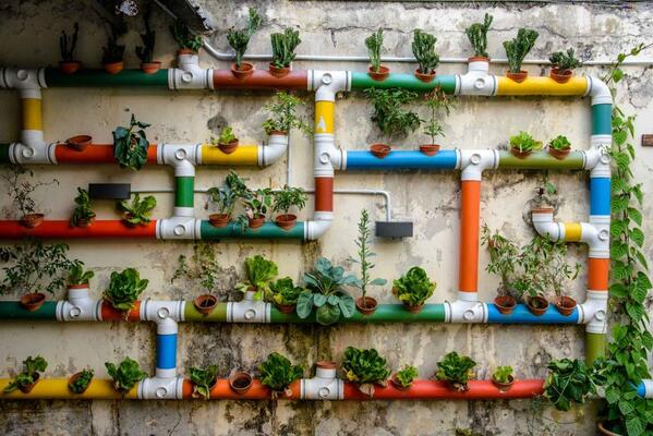 Urban Gardening Idee