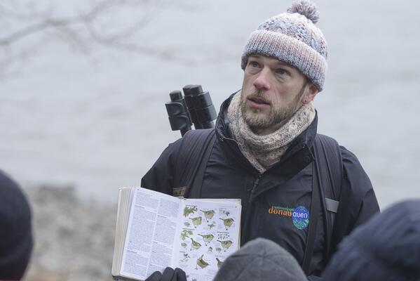 Norbert Teufelbauer / Birdlife