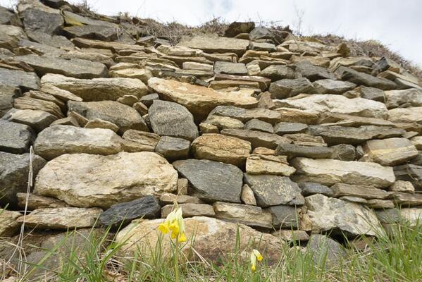 Trockensteinmauer