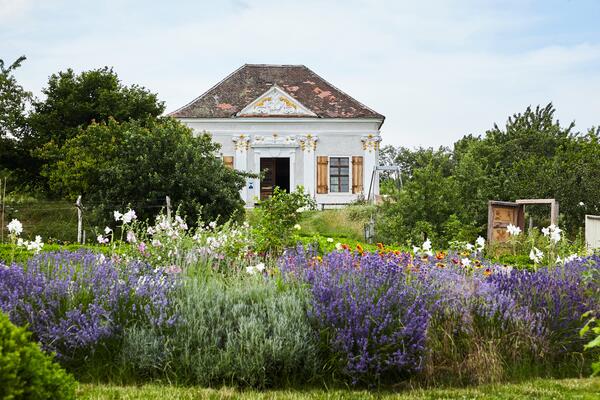 Haus umgeben von Blumen