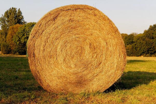 Heurundballen