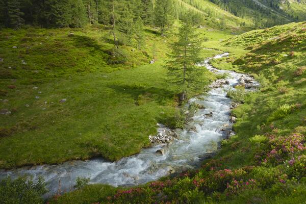 Bodenalm Zillertal