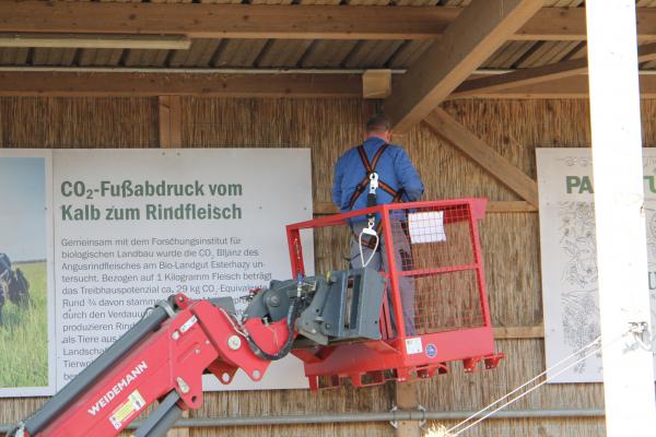 Montage eines Schwalbenwinkels