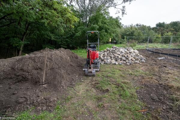 Neues Feuchtbiotop im Wiener Donaupark