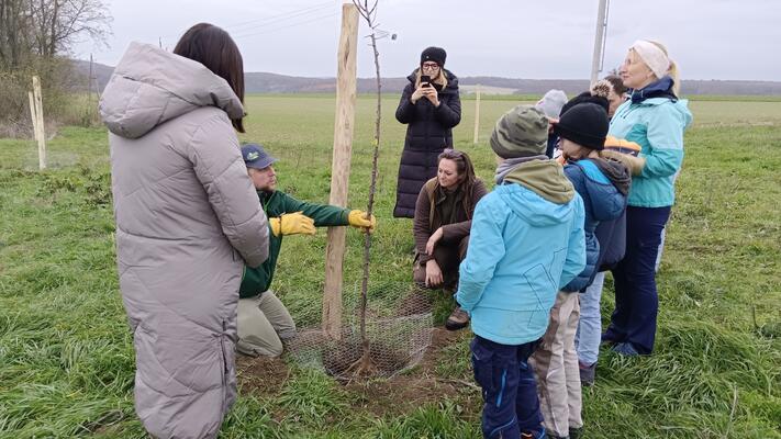 Neue Obstbäume für ein Naturparadies