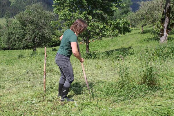 Frau beim Heuwenden auf einer Wiese