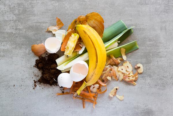Bananenschale, Eier und sonstiges zur Herstellung von Kompost