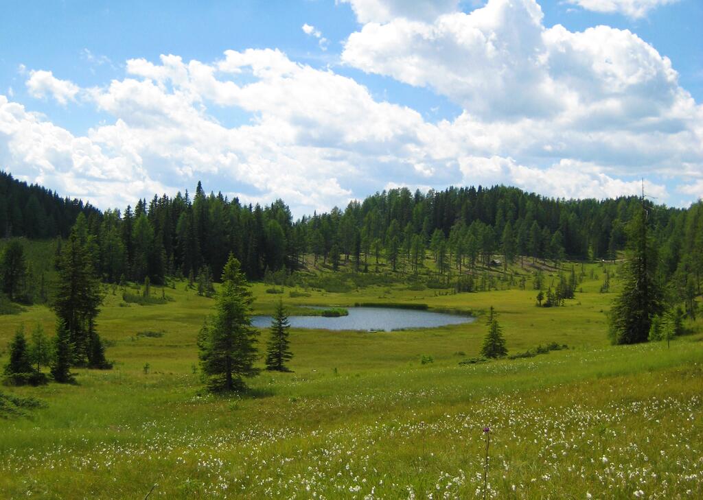 Ein Hoch dem Moor Überlinger Moor Biosphärenpark Lungau c Alois Essl