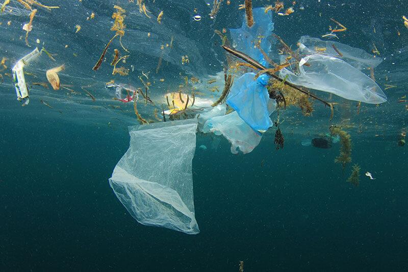 zehn-gute-vorsaetze-plastik-shutterstock_Rich-Carey © (c) shutterstock / Rich Carey zehn gute Vorsetzte Umweltschutz