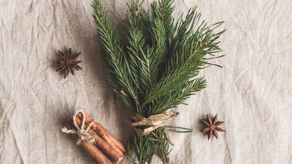 Weihnachtsdekoration von der Natur © Povareshka / Istock.com Weihnachtsdekoration von der Natur