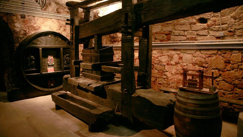 Weinmuseum © c Josef Barinka / MQ naturmuseen