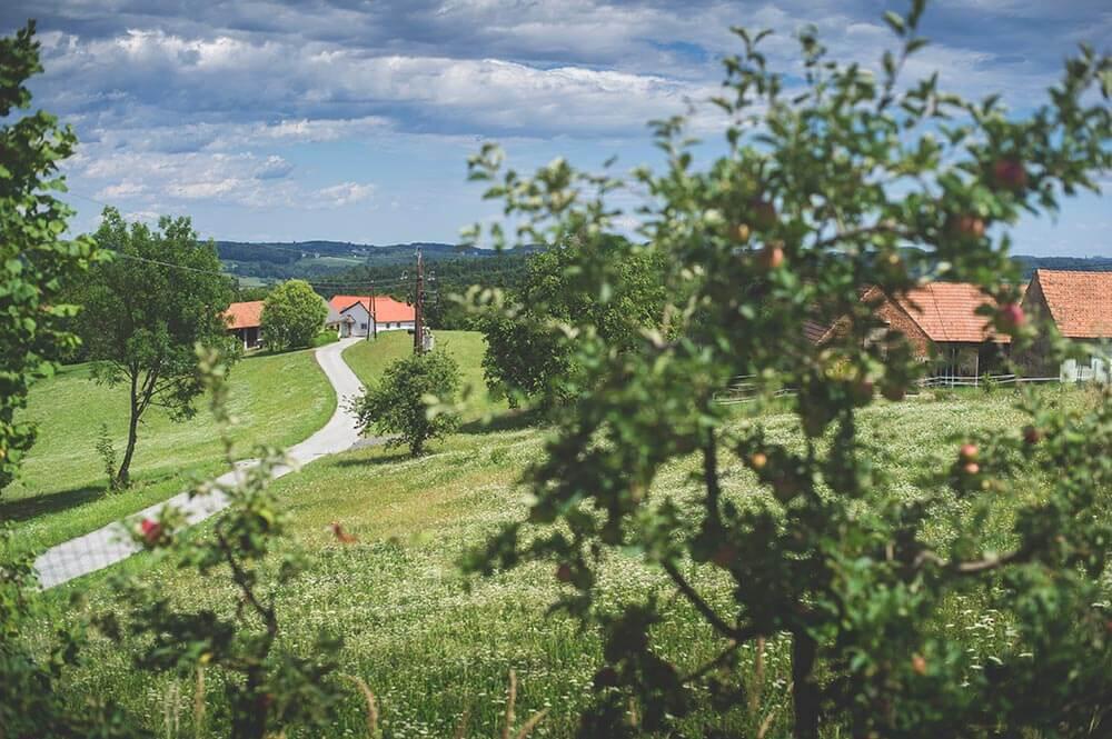 Lebensraum Streuobstwiese © Blühendes Österreich/Alex Papis Lebensraum Streuobstwiese