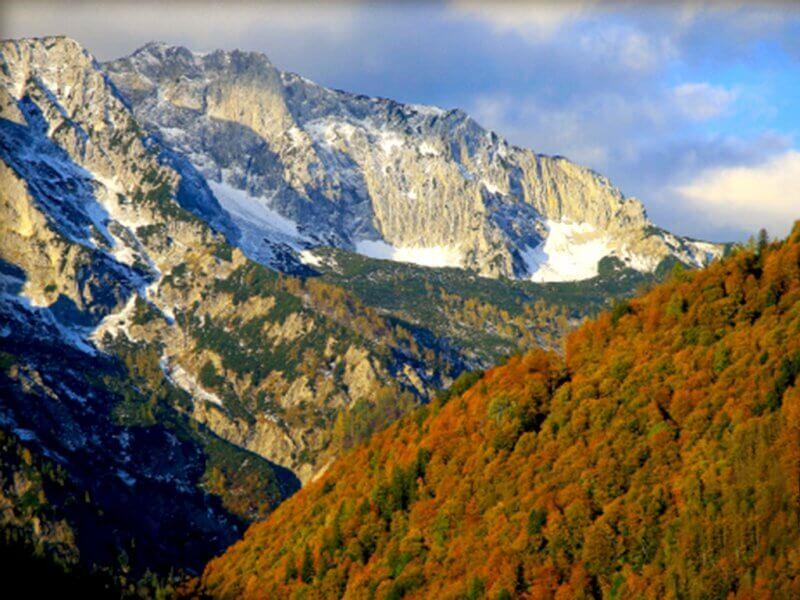 Buchenwälder Nationalpark Kalkalpen