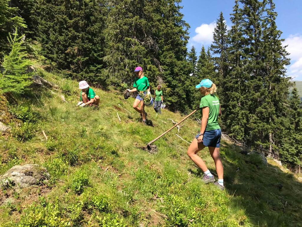 Gruppe packt im Wald an