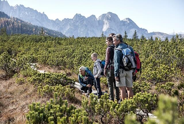 K-naturerlebnis-löckenmoos-gosau-MenschenStegMoorBerge-c-ooe-tourismus-gmbh-robert-maybach © OÖ Tourismus GmbH/Robert Maybach Exkursion