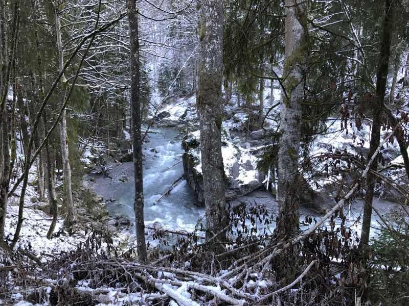 Die Lutz ist in ihrem Oberlauf noch ein echter Wildfluss, der sein Bachbett selbst gestalten darf. Foto: Christina Schwann © Christina Schwann Die Lutz ist in ihrem Oberlauf noch ein echter Wildfluss, der sein Bachbett selbst gestalten darf. Foto: Christina