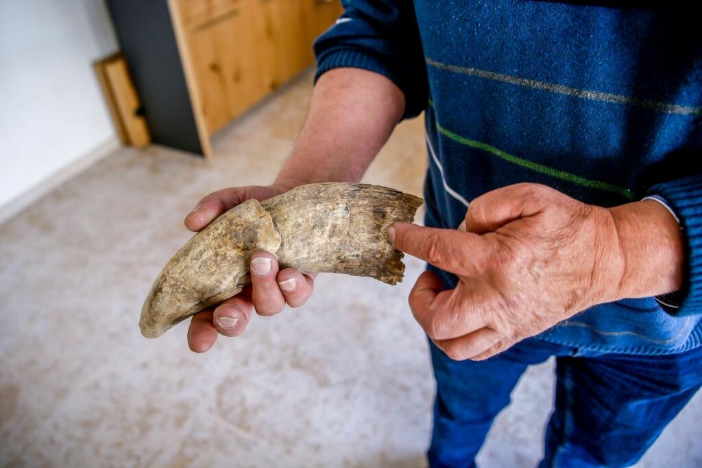 Kuhhorn im Einsatz in der Demeter Landwirtschaft © Pamela Schmatz/Demeter Österreich Kuhhorn im Einsatz in der Demeter Landwirtschaft