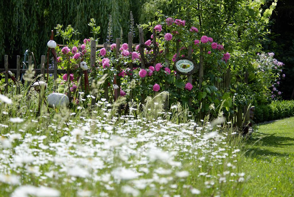 naturnaher Garten © Alexander Haiden/Natur im Garten Naturgarten