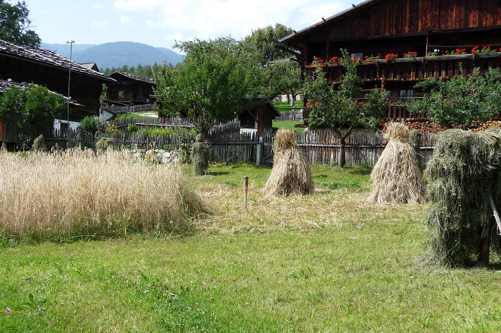 Ein landwirtschaftliches Feld mit Vielfalt