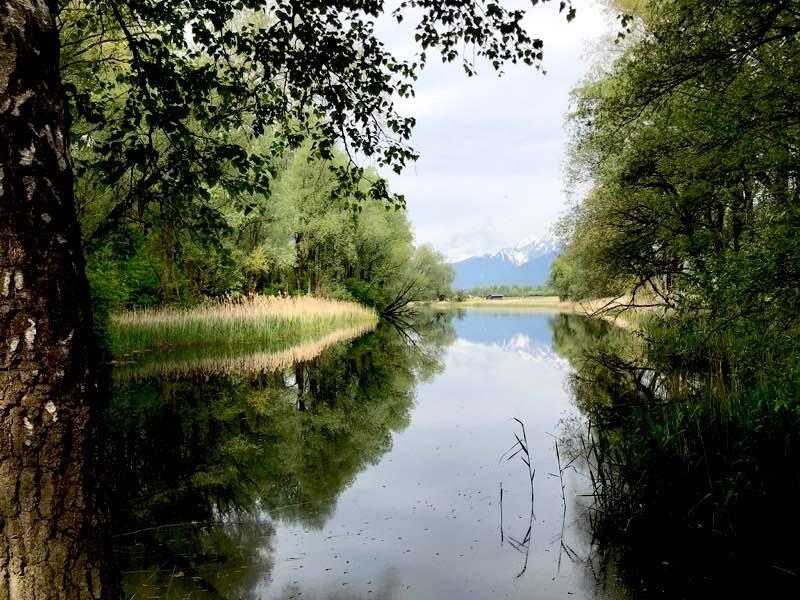 © Ch Schwann Inn Seitenarme Naturschutzgebiet