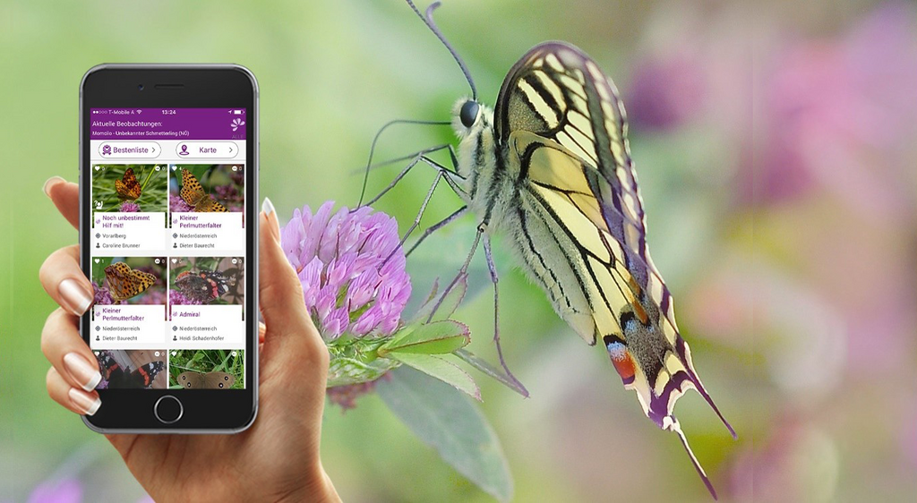geöffnete Schmetterlingsapp auf Smartphone.
