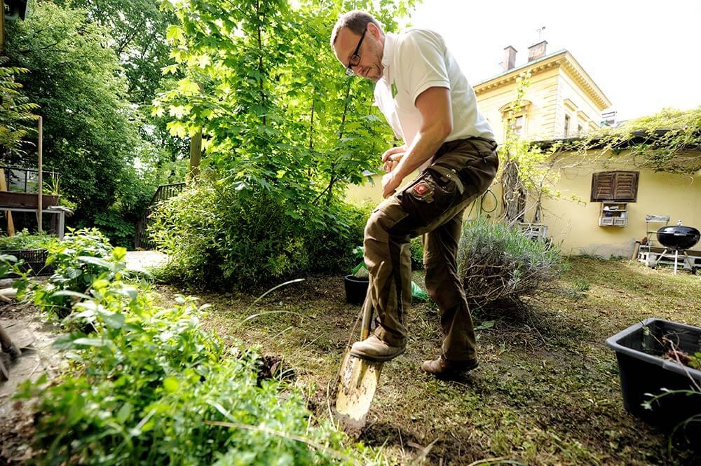 Spatenstich für den Kräutergarten