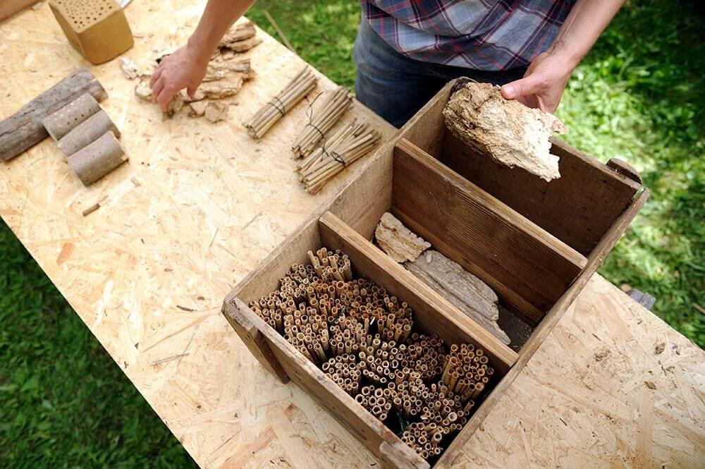 Insektenhotel befüllen