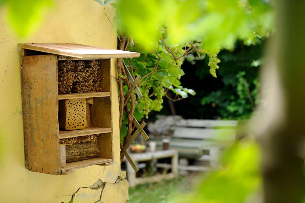 Insektenhotel © Blühendes Österreich/Alex Papis Insektenhotel
